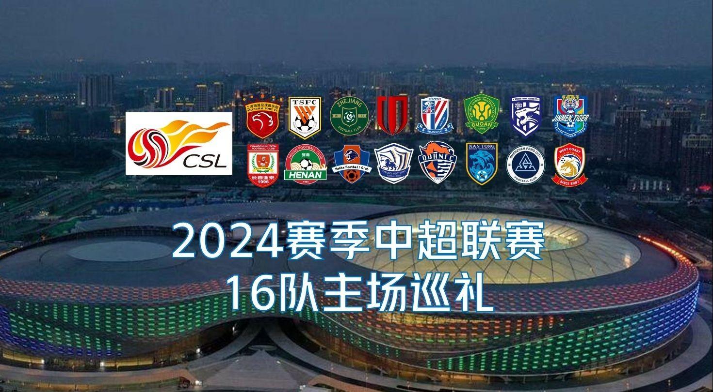 球员不应挑