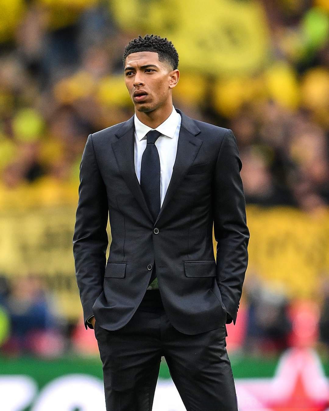 清晰可见 清晰可见